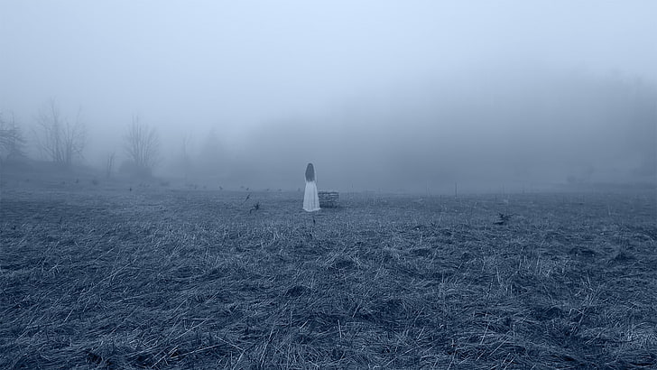 женщины, туман, лес, Сверхъестественное, призраки, жуткий, ужас, Тайна, HD обои