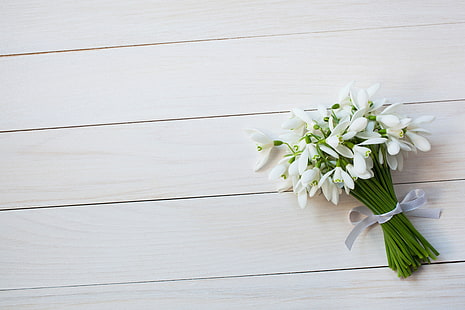 buquê de flores brancas de floco de neve, flores, buquê, primavera, snowdrops, fita, HD papel de parede HD wallpaper