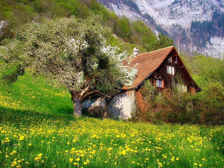 casa marrone, fotografia, natura, paesaggio, casolare, fiori, primavera, montagne, alberi, arbusti, Alpi svizzere, Sfondo HD