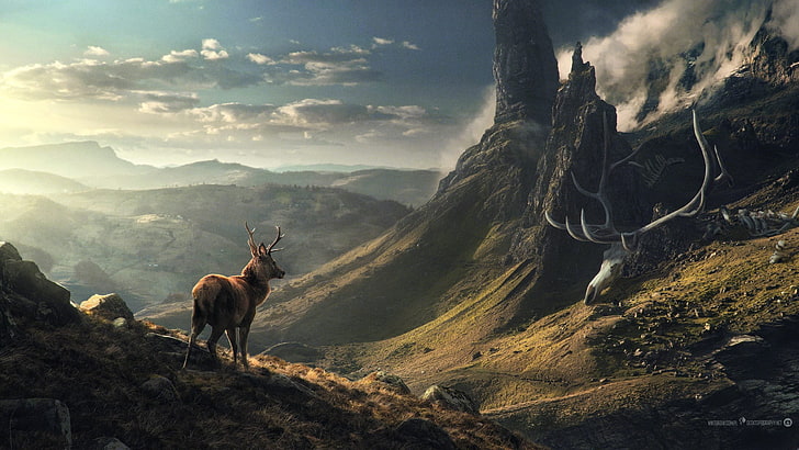 brown deer and mountain, landscape, elk, mountains, skeleton, clouds, Desktopography, HD wallpaper