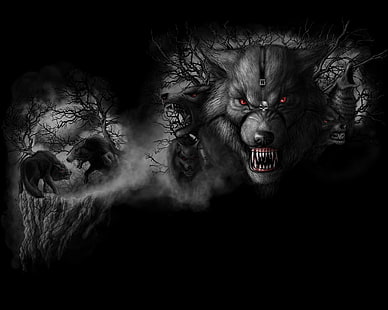 werewolf, HD wallpaper HD wallpaper