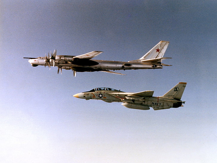 Military Aircrafts, Aircraft, Grumman F-14 Tomcat, Tupolev Tu-95, HD wallpaper