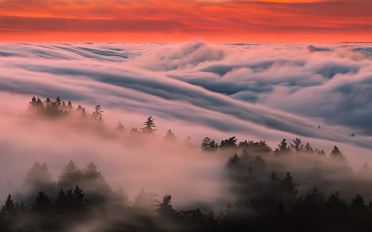 natur, landschaft, nebel, wald, wolken, bäume, HD-Hintergrundbild