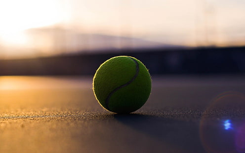 зеленый теннисный мяч, глубина резкости, теннисные мячи, блики на объективе, солнечный свет, размытость, HD обои HD wallpaper