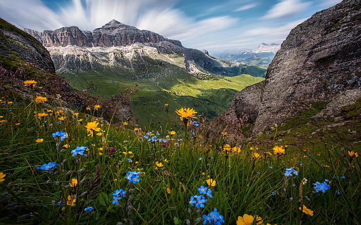 Flores, Dolomitas, Itália, natureza, paisagem, papel de parede Hd 2560 × 1600, HD papel de parede