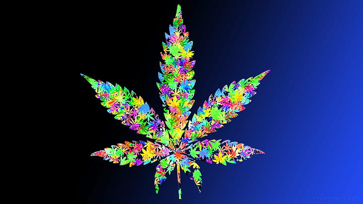 droghe, foglie, foglie, marijuana, erbacce, Sfondo HD