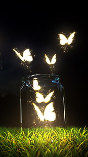 Farfalle incandescenti, farfalle illuminate, animali, farfalla, erba, farfalle, volare, splendore, bottiglia, Sfondo HD HD wallpaper