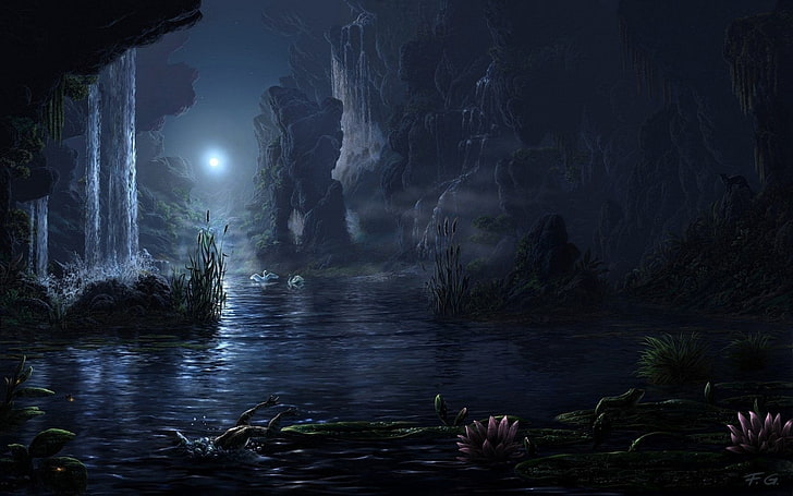 Gewässer bei Nacht Malen, Nacht, Mond, Mondstrahlen, Wasser, Fels, Blumen, Pflanzen, Schwan, Landschaft, digitale Kunst, HD-Hintergrundbild