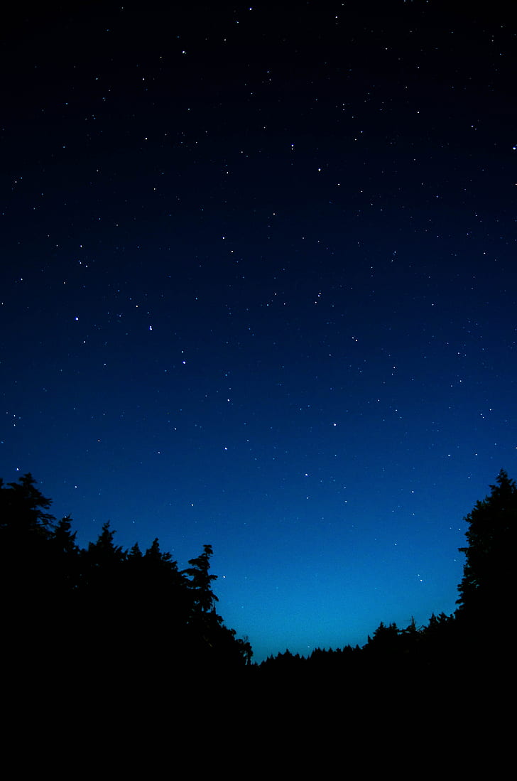 céu estrelado, árvores, noite, escuro, contornos, HD papel de parede, papel de parede de celular