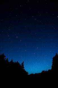 céu estrelado, árvores, noite, escuro, contornos, HD papel de parede HD wallpaper