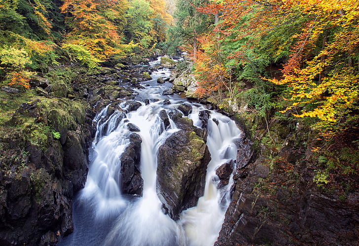 water stream, water, stream, Scotland, Hermitage, Perthshire, Ossian's Hall, Waterfall, Autumn, nature, forest, river, leaf, tree, outdoors, scenics, beauty In Nature, landscape, HD wallpaper