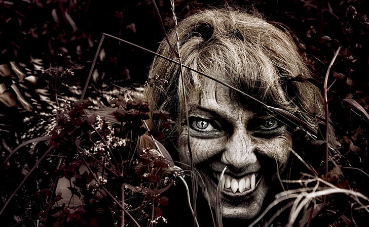 Weiblicher Werwolf, Gesicht, Werwolf, Gras, Zähne, 3d und Zusammenfassung, HD-Hintergrundbild