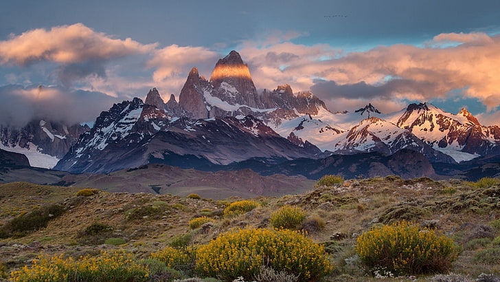 argentyna, granica, chile, pustynia, fitz, monte, góra, patagonia, roy, Tapety HD