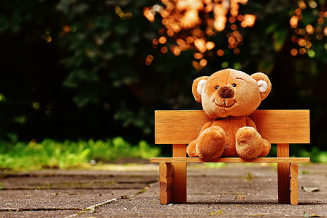 bear, bench, child, children toys, color, cute, sit, soft toy, summer, teddy, teddy bear, toy, tree, wood, wooden, wooden bench, HD wallpaper HD wallpaper