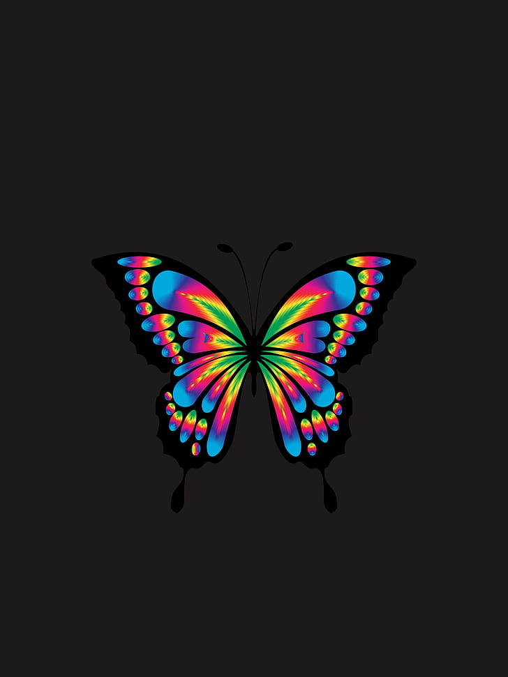 farfalla, brillantezza, brillante, multicolore, cromatica, prismatica, Sfondo HD, sfondo telefono