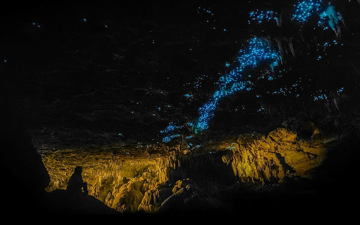 photography, landscape, nature, cave, glowworms, blue, rock, Inside, men, dark, shadow, New Zealand, HD wallpaper