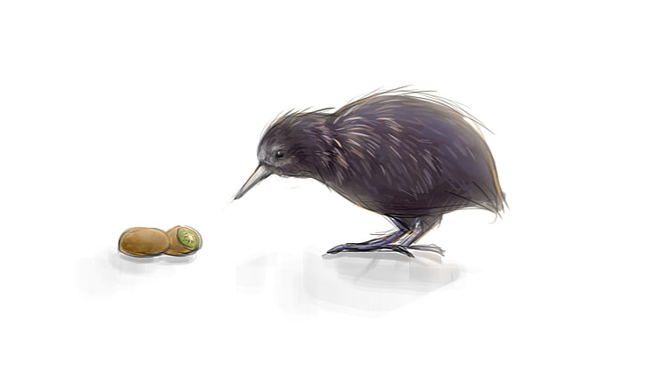 Ilustração de pássaro kiwi, kiwi (animal), pássaros, kiwi (fruta), HD papel de parede
