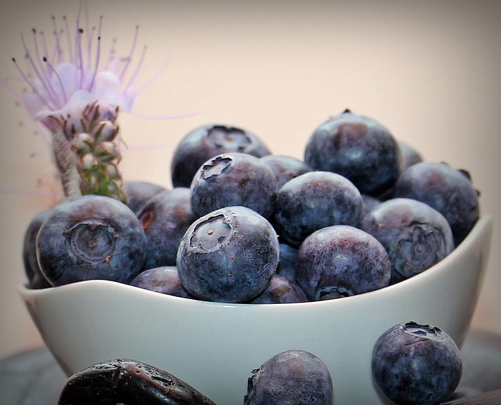 seikat blueberry, blueberry, beri, mangkuk, matang, Wallpaper HD