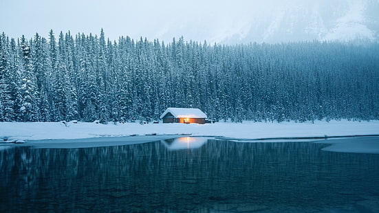 casa de madera marrón, invierno, nieve, hielo, lago, casa, árboles, cabaña, Fondo de pantalla HD HD wallpaper