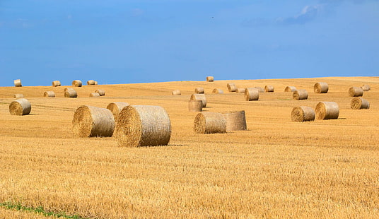 agriculture, arable, bale, countryside, crop, dry, farm, farming, field, food, harvest, harvest time, harvested, hay, hay bales, haystack, landscape, rolled, sky, straw bales, summer, wheat, HD wallpaper HD wallpaper