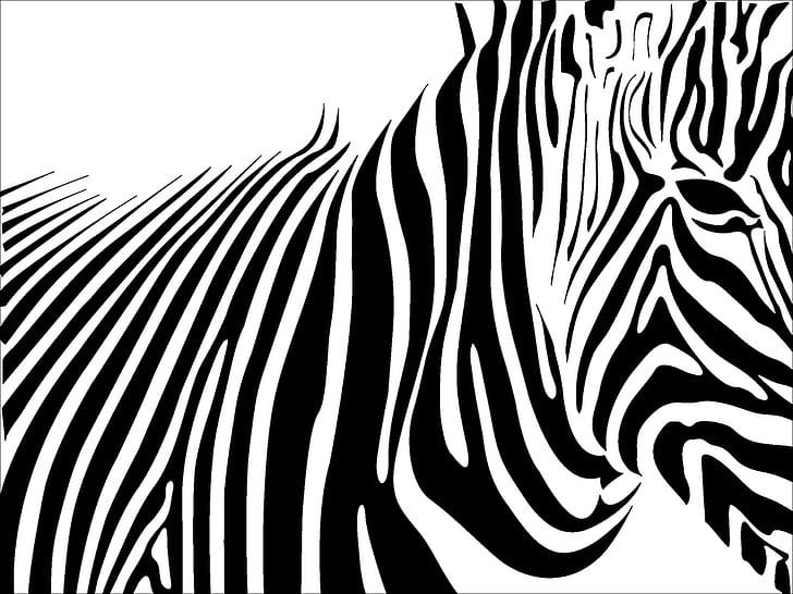 Hewan, Zebra, Kuda, Hitam, Putih, Garis, Kepala, Mata, Seni, Abstrak, hewan, zebra, kuda, hitam, putih, garis, kepala, mata, seni, abstrak, Wallpaper HD