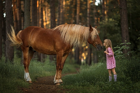 Fotografia, dziecko, dziewczynka, koń, mała dziewczynka, Tapety HD HD wallpaper