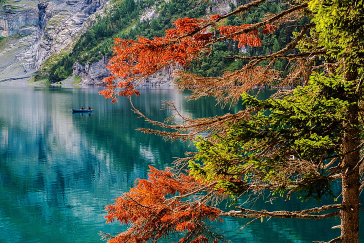 orange and green pine tree, autumn, lake, tree, boat, Switzerland, fishermen, lake Asinense, Oeschinen Lake, The Bernese Oberland, Bernese Oberland, Oeschinensee, HD wallpaper