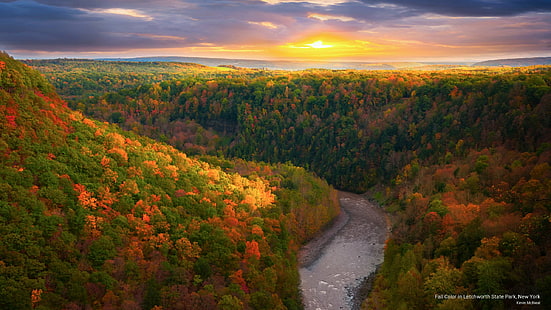 Цвет осени в Лечуорте государственный парк, Нью-Йорк, осень, HD обои HD wallpaper