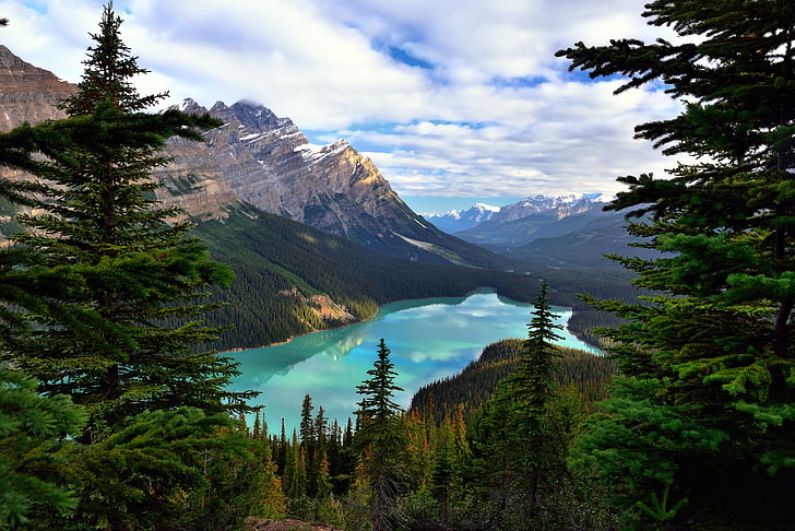 tanaman, pemandangan, air, danau, hutan, Kanada, Taman Nasional Banff, Wallpaper HD