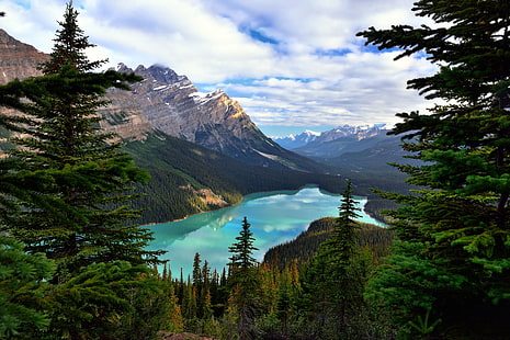 พืช, ภูมิทัศน์, น้ำ, ทะเลสาบ, ป่า, แคนาดา, อุทยานแห่งชาติแบมฟ์, วอลล์เปเปอร์ HD HD wallpaper