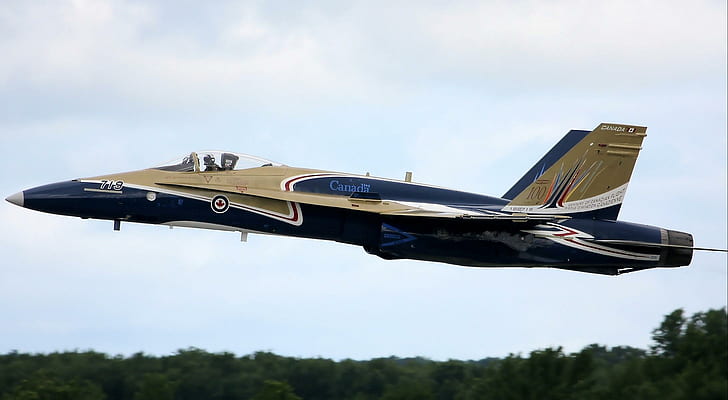 Canadian Hornet, brown and blue fighter plane, mcdonnell, douglas, cf-18, plane, hornet, cf18, aircraft planes, HD wallpaper