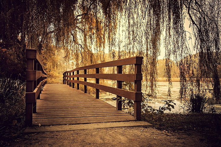 brown wooden bridge, nature, photography, landscape, wooden surface, bridge, willow trees, river, path, Illinois, HD wallpaper