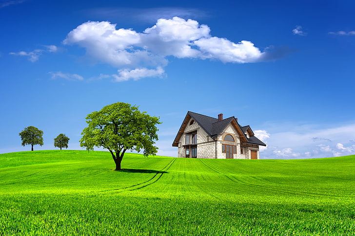illustrazione della casa bianca e nera, campo, estate, cielo, erba, nuvole, alberi, paesaggio, natura, casa, albero, cielo, casa, Sfondo HD