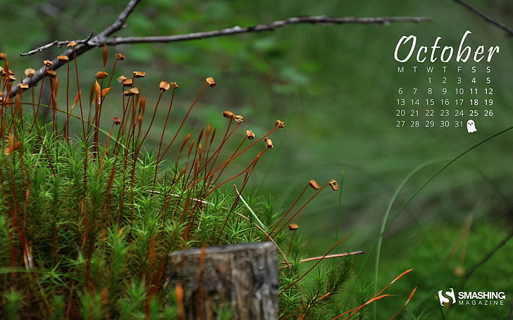 Outono na floresta-outubro de 2014 Calendar Wallpap .., calendário de outubro Vetor, HD papel de parede