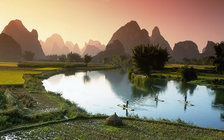 body of water surrounded by grass, vietnam, crops, fields, fishermen, boats, fog, morning, HD wallpaper