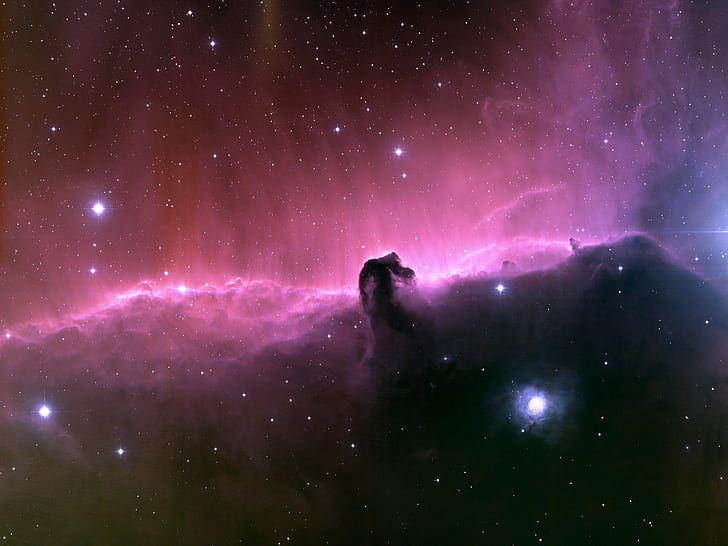 bintang ruang nebula horsehead, Wallpaper HD