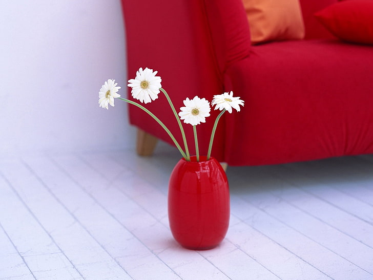 quatro margarida branca flores, gerbera, flores, vaso, sofá, chão, HD papel de parede