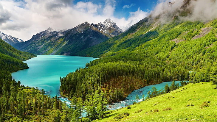 Kucherlinskoe湖、湖、ロシア、アルタイ、森、素晴らしい、山、 HDデスクトップの壁紙