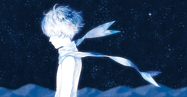 Anime, The Adventures of the Little Prince, HD wallpaper HD wallpaper
