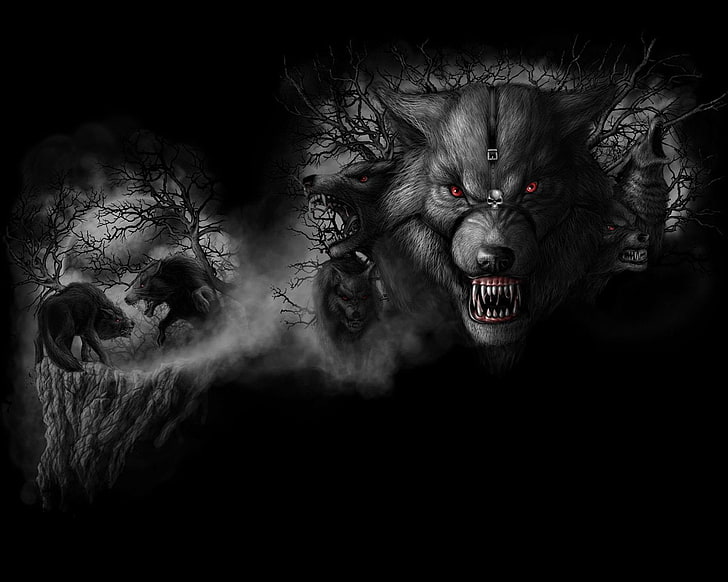 gray wolf illustration, Dark, Werewolf, HD wallpaper
