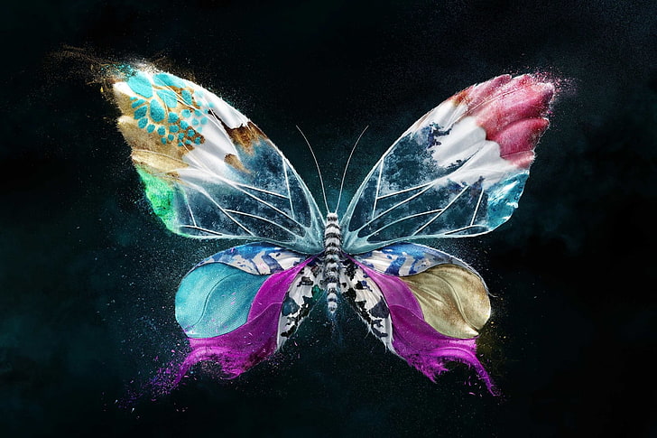 Артистични, пеперуди, цветни, цветове, HD тапет