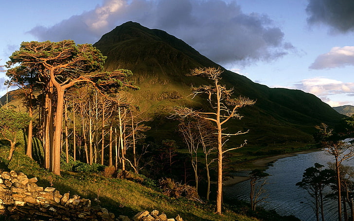 Sfondo di County Mayo Irlanda-Windows 10 HD, alberi a foglie verdi, Sfondo HD