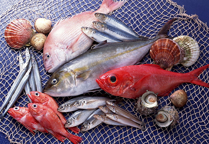 assorted-color fish, fish, seafood, variety, HD wallpaper
