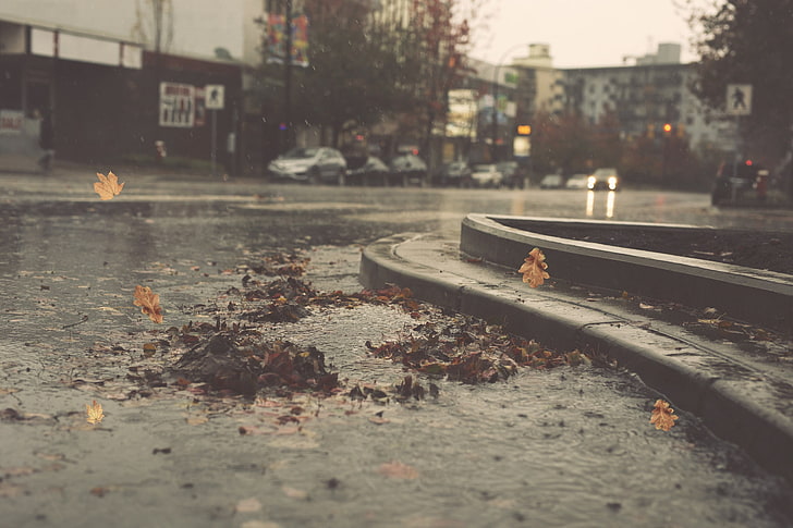 miasto, samochody, jesień, liście, ulica, staw, pada deszcz, Tapety HD