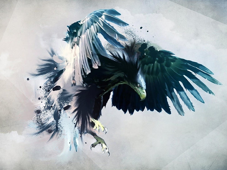 white and green feather decor, eagle, birds, artwork, feathers, animals, HD wallpaper