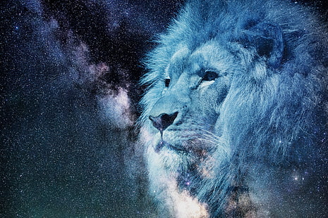 carta da parati leone blu, leone, museruola, cielo stellato, stelle, photoshop, re degli animali, predatore, Sfondo HD HD wallpaper