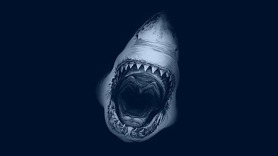 ขากรรไกรฉลามขากรรไกรปลาสัตว์สัตว์, วอลล์เปเปอร์ HD HD wallpaper