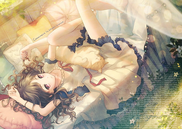 Anime Mädchen, Katze, HD-Hintergrundbild