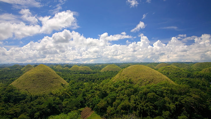 Chocolate Hills, Bohol, alam, lanskap, hutan, pegunungan, bukit, pohon, Filipina, Wallpaper HD