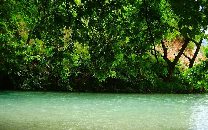 спокойна река, природа, пейзаж, река, Гърция, дървета, зелен, пролет, вода, храсти, HD тапет